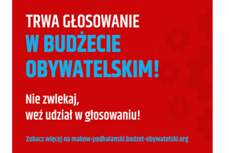 Głosowanie na zadania do Budżetu Obywatelskiego